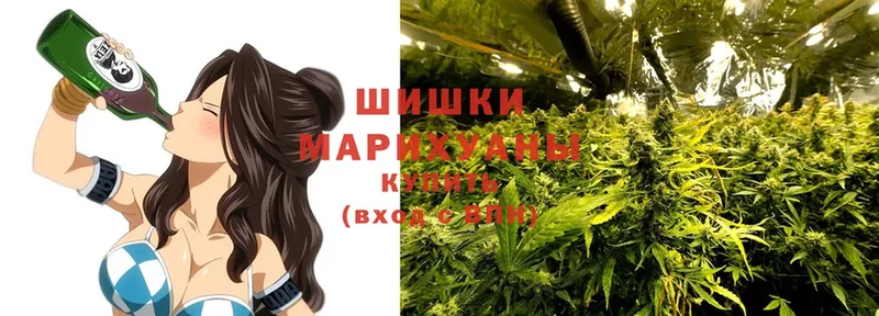 где найти наркотики  Красный Сулин  Бошки марихуана марихуана 